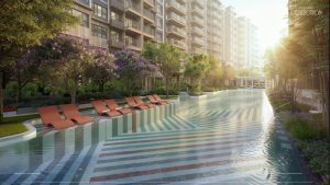 Hồ bơi và ghế orchard collection