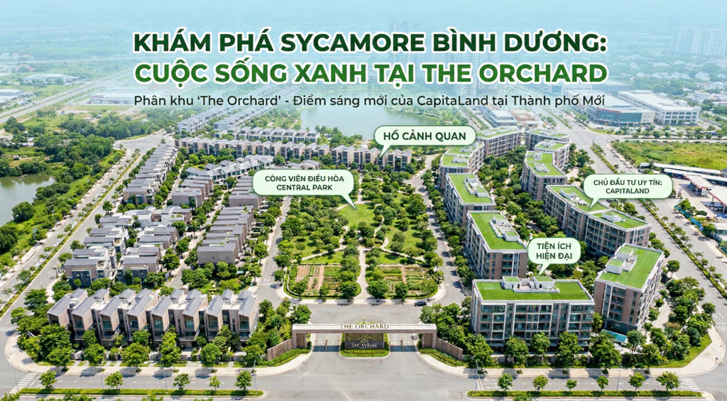 sycamore Bình Dương