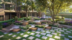 Sân vườn orchard collection